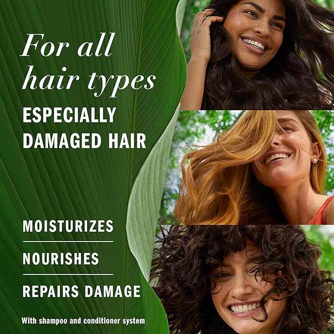 Herbal Essences Argan Oil of Morocco Shampoo & Conditioner Set, Repair & Smooth, Kew Endorsed, Fizzy Citrus Scent, Paraben-Free, Safe for Color-Treated Hair, pH-Balanced