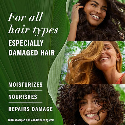 Herbal Essences Argan Oil of Morocco Shampoo & Conditioner Set, Repair & Smooth, Kew Endorsed, Fizzy Citrus Scent, Paraben-Free, Safe for Color-Treated Hair, pH-Balanced